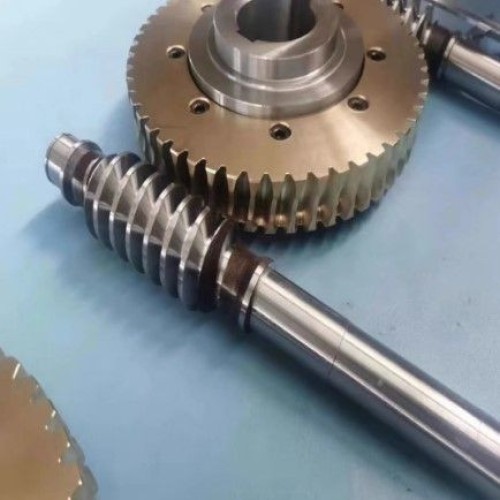 Turbine Worm Gear